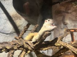 -Zoolung Zoolung动物主题公园(海信广场店)