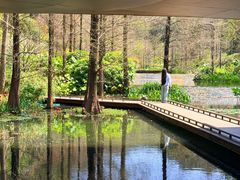 -云溪植物园