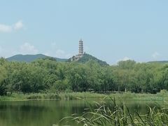 -北坞公园