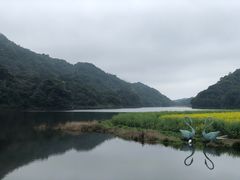 -广州市石门国家森林公园
