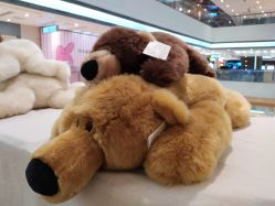 -Nuzzle(静安大悦城店)