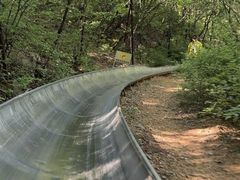 -富斯特索道