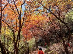 -青龙山生态文化旅游区(慈云寺)