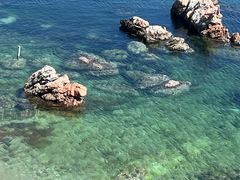 -养马岛旅游度假区