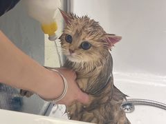-FAELING PETS美天灵宠物(富力广场店)
