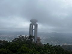 -正宗梧州牛肠酸