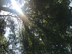 -龙湾潭国家森林公园