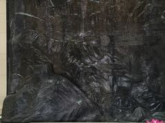 -延庆地质公园博物馆
