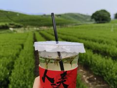 -龙坞茶村