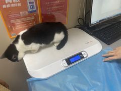 -创凡宠物医院·骨专科  猫科中心(西乡分院)