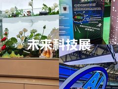 -上海浦东嘉里大酒店