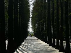 -渌洋湖湿地公园