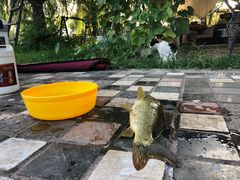 -酷鱼垂钓CLUB(朝阳区博大路店 )