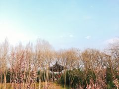 -蜀冈西峰生态公园