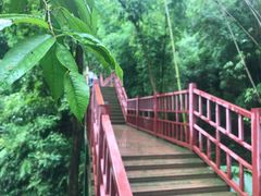 -川西竹海景区
