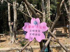 -武汉大学-樱园