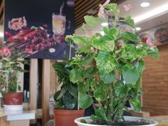 -麦梗手擀面水饺(麦梗前门店)