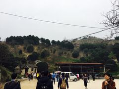 -新建村梅花