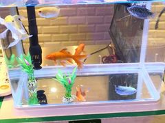 -汤姆家的优质牛排(王府井店)