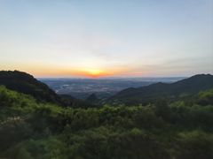 -铁山坪森林公园