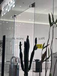 -DL HOPE明星造型