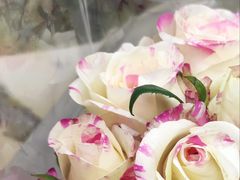 -山姆会员商店(杨桥西路店)