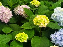 -木守西溪溪隐餐厅