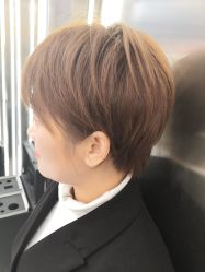 -魔型社