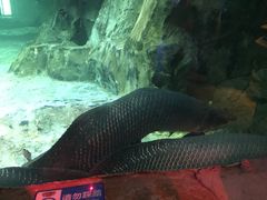 -华夏文旅海洋公园