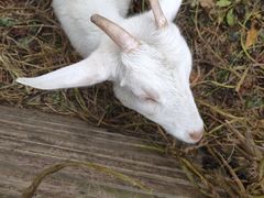 -杭州师范大学(下沙校区)