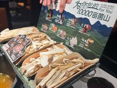 -芸山季·云南山珍菌火锅(人民广场来福士店)