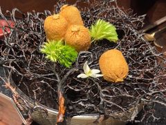 -大拙里·精致融合菜(沙湖桃源国际店)