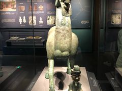 -广西壮族自治区博物馆