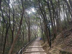 -苏州上方山国家森林公园