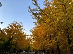 -辽宁大学(崇山校区)