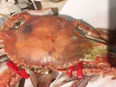 -蓝珊甄选海鲜自助·火锅大排档(近阿那亚店)