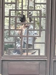 -一揽芳华汉服旗袍体验馆(拙政园店)