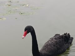 -浙江农林大学(东湖校区)