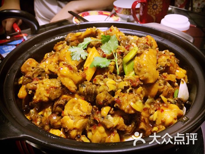 大龙凤鸡煲(万菱汇店)的点评