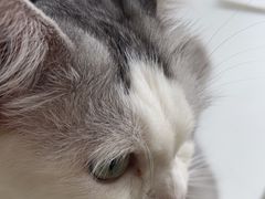 -怪兽屋·羊驼·猫咖·狗咖(俊华广场店)