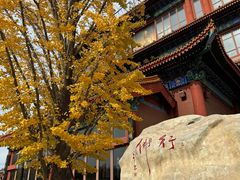 -大明幻境第一城