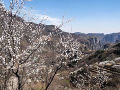 -山西壶关太行山大峡谷旅游景区