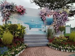 -荷兰花海
