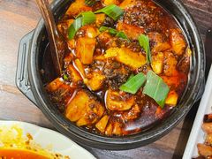 -陈麻婆豆腐总店