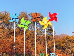 -老山国家森林公园
