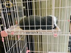 大厅-Hair house发舍