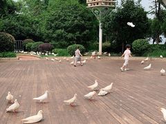 -南昌之星摩天轮