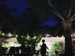 -自由生长植物工作室(深港花卉中心店)