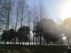 -洋湖国家湿地公园