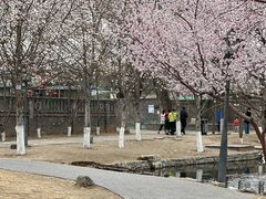 -春风习习